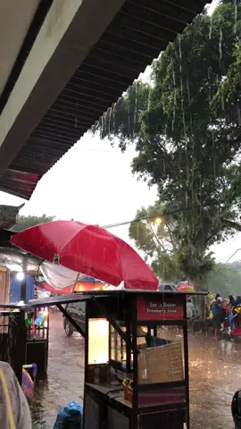 Sarangan after rain 🌧️  #magetan24jam #saranganmagetan #telagasarangan #vibessetelahhujan 