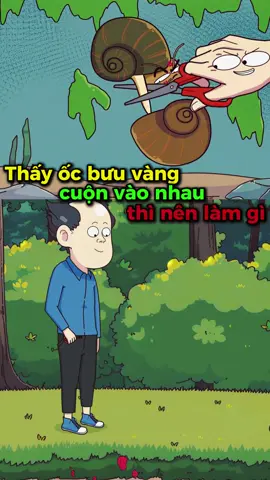 Thấy ôc bưu vàng cuộn vào nhau thì nên làm gì? #hoathinh #vanvatbietnoi #hoathinhvasuckhoe 