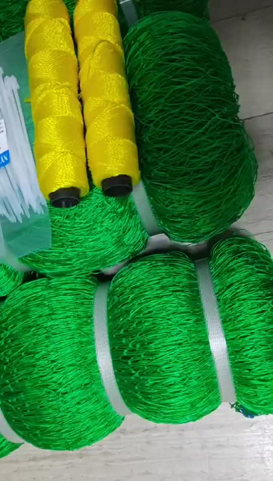 FREE ROPE Chicken Net 100M Farming Net Outdoor Garden Vegetable Plot Fencing Net Fishing Nets free  range  chicken  net range  net plastic  net 1  roll  plastic  screen  chicken＃net＃chicken net＃net for chicken＃ange net for chicken＃fishing net 100meters＃green net for chicken＃chicken range net＃chicken net 100 meters＃chicken nest＃chicken net 50 meters＃outdoor net＃Bird net#Pigeon net#Duck net ＃ pigeon nest ＃ duck nest ＃ chicken nest # tiktok