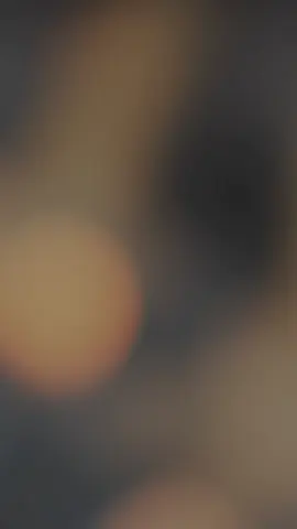 Trah lokalan Pagma jr BK satu titik #CapCut #bangkok #pamangon #peternakpemula #hobiayam 