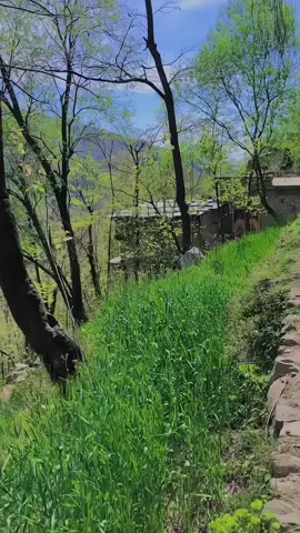 Baw😜😜#baw😁😁😁😁😁 ##beautyfull #with best friends #beautyfull #unfreesmyaccounytiktokteam 