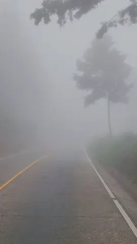 Sololateco que se respeta le gusta este clima, pero ir en moto ya no. 😆 La neblina es densa, el frío es fuerte y la llovizna moja. Con vasito de café se quita. ¿Saben que ruta es? #sololá #elchologt_ 
