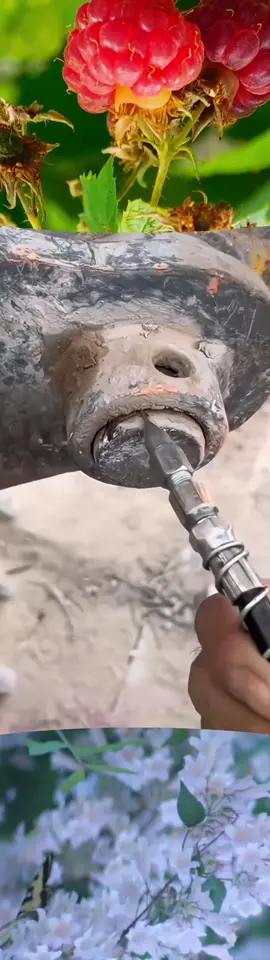 Punta de aguja para pistola de engrase – ¡Perfecta para una lubricación precisa!💥 Diseñada para cojinetes sin mantenimiento y compatible con la mayoría de pistolas de engrase. ¡Imprescindible para maquinaria pesada y herramientas profesionales! #MaquinariaDeConstrucción #HerramientaDeAltoRendimiento #PuntaDeEngrase #ToolTok #HerramientaEsencial #HerramientasDePrecisión #EquiposPesados #HerramientasDIY #LoMejorDeAmazon #CompraYa #MecánicoPro #HerramientasTikTok #TallerImprescindible #HerramientasVirales #LubricaciónFácil #Engrásalo🔥 