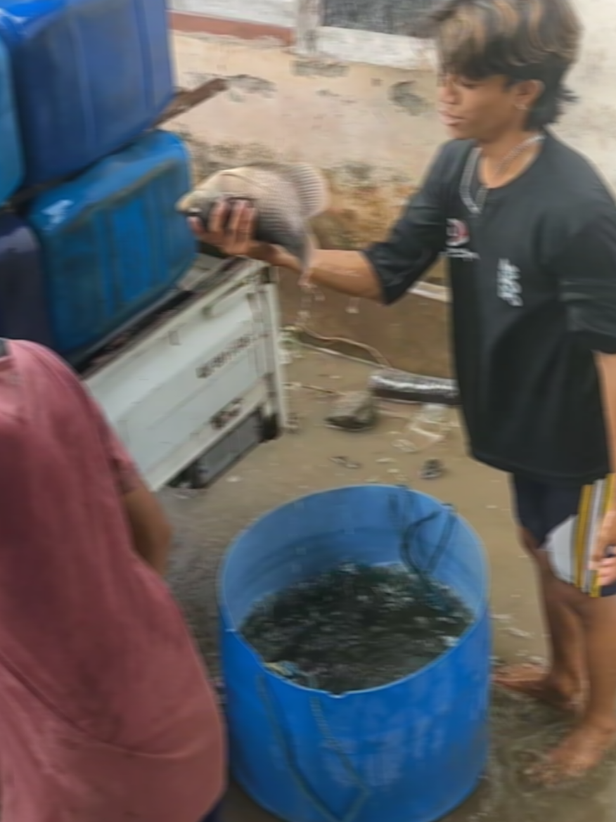 #fyp #fypage #gurame 