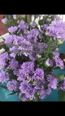 ပုံပေးမယ်အခန်းထဲမှာဗီနိုင်းဆွဲပြီးချိတ်ထား#🇲🇲 #tiktok #foryoupage #thankb4youdo #07 