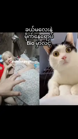 #AAALASPARATUCURRO #funnyvideos #titokmyanmar #foryoupage #fypシ゚ #shorts #tendingvideo #viralvideo 
