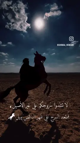 ❤️ #shimaa_hemdan #horses #horsesoftiktok #خيل_وخياله🐎 