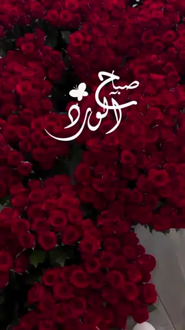 #صباح_الخير #صياح #الورد #صباحكم_معطر_بذكر_الله #صباحكم_سعادة_لاتنتهي #صباحكم_حب_وسعادة #foryou #tiktok #لايكات #ترند #صباح #صباحكم_أحلى_صباح 