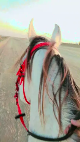 sultan SHAQAB👑 endurance ✨#israeelcriminals  #nitenyahoo_war_criminal #nitenyahowanted#pakistangovernment #pakistanarmy 