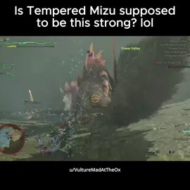 Is Tempered Mizu supposed to be this strong? lol #monsterhunterwilds #モンスターハンター #モンスターハンターワイルズ #キャラメイク #MonHun #monsterhunter #mhwilds #mhw #fyp