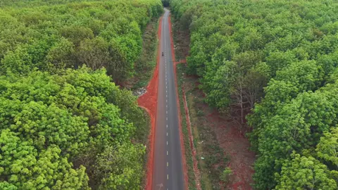 Rừng caosu #eahleo_đắklắk #flaycam #nhacnaychillphet #dji #giare 