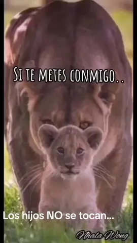 Lo mejor de mi vida después de Dios.. son mis hijos. Quizás no soy la mejor madre pero algo es muy cierto... DOY LA VIDA POR MIS HIJOS. Abba... en tus manos los pongo. #DiosEsMiFuerza #DiosEsFiel #DiosTeAma #DiosEsBueno #Bendiciones #tik_tok #EnParaTi #Creator @Chaparrita @Maribel Gonzaléz @mariflores41257 @Maria Malibran 