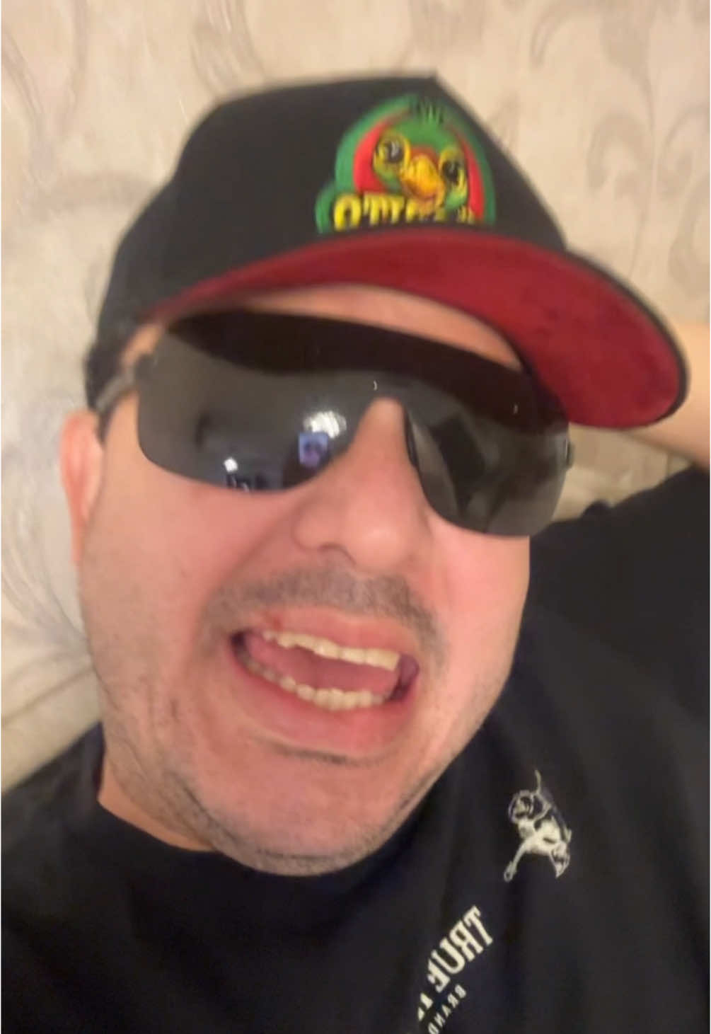 Animoooo deseo que hayan tenido un excelente domingo y que su lunes esté lleno de Amor 🥰 Fé 🙏🏻 Trabajo 💪🏻 y Esperanza ❤️🌟 descansen mis curritos 🦜 🦜 #yelrocha #puraescarcha #aykbron #elcurrito #lacurriza #lalopez #humor