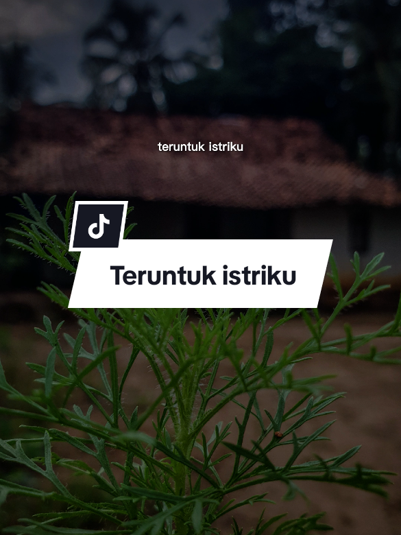 Teruntuk istriku #CapCut #quotestory #katakata #kehidupan #motivasihidup #fyppppppppppppppppppppppp #viral #trending #fyp #status #srorywa #istriku #suamiistri #istri #kebahagiaan 