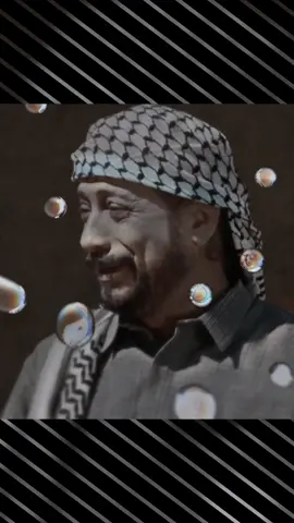 شكلكم 💔 #شتيوي #وحيد #بيت_الطين #تيم_570 
