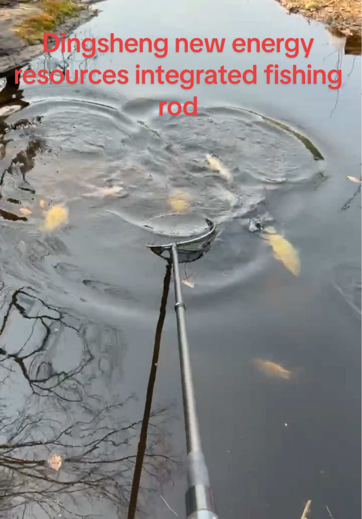 Dingsheng new energy resources integrated fishing rod#fishing #捕鱼 #钓鱼 #路亚 #lure 