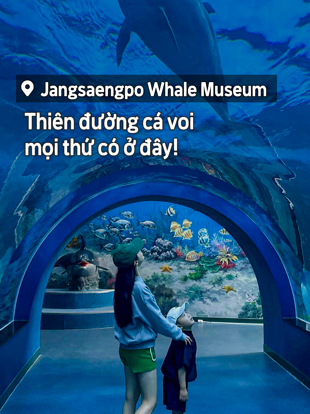 @@ Cuối tuần này, đi bảo tàng cá voi thôi! 🐋 Bảo tàng cá voi Jangsaengpo  📍 Địa chỉ: 244 Jangsaengpo Whale Road, Nam-gu, Ulsan  🕖 Giờ mở cửa:  • 09:00 ~ 18:00  • Nghỉ vào thứ Hai  📞 052-256-6301  ✔ Mua vé trước 30 phút khi đóng cửa #DuLịchUlsan #TrảiNghiệmUlsan #TrảiNghiệmĐộcLạUlsan #BảoTàngUlsan #BảoTàngCáVoiUlsan #BảoTàngCáVoiJangsaengpo #ĐịaĐiểmDuLịchUlsan #UlsanCùngTrẻEm #UlsanĐiCùngTrẻEm #HẹnHòUlsan #HotSpotUlsan #dulịchHànQuốc #ăngìchơigìởHànQuốc #duhocHànQuốc #HànQuốc  #koreatravel #ulsantrip #Ulsan #맛집 #울산여행 #duhocsinhhanquoc