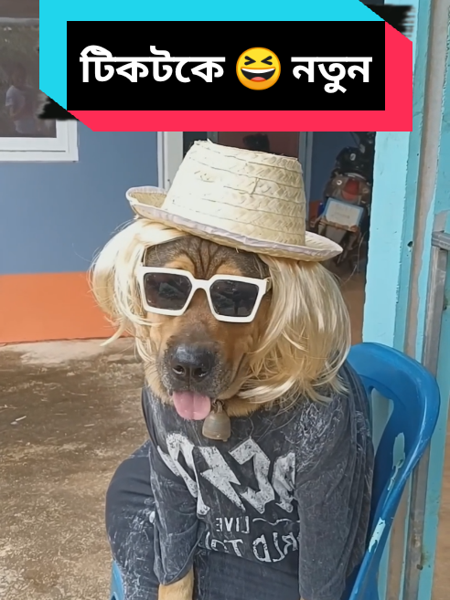 New style dog fashion 😆 best TikTok very funny : #viral #fypシ゚  #fypシ゚viral🖤tiktok☆♡ シ゚viral🖤tiktok☆♡🦋myvideo #music #funny #comedia #prank #happy #update #doubleexposure #tiktokindia #trending #song #soundeffects #Prankstar #soundviral #soundsystem #sound #smile #new #hahaha😂😂😂 #newtrend #prankster #ফানি_ভিডিও #হাসির_ভিডিও #কমেডি_কুইন👑 #হাসি #ফানি #প্রাংক  #আপডেট_মিউজিক #আপডেট_সাউন্ড #আপডেট_সাউন্ড_ইফেক্ট #আপডেট_টিকটক #আপডেট_গান #আপডেট_কমেডি #আপডেট_ফানি #আপডেট_হাসি #ট্রেন্ডিং_মিউজিক #ট্রেন্ডিং_সাউন্ড #ট্রেন্ডিং_সাউন্ড_ইফেক্ট #ট্রেন্ডিং_গান #ট্রেন্ডিং_কমেডি #ট্রেন্ডিং_ফানি #ট্রেন্ডিং_হাসি #Ramadan_virul_video #রমজান_মাসের_ভাইরাল_ভিডিও #ট্রেন্ডিং_টিকটক #ভাইরাল_মিউজিক #ভাইরাল_সাউন্ড #ভাইরাল_সাউন্ড_ইফেক্ট #ভাইরাল_টিকটক #ভাইরাল_কমেডি #ভাইরাল_ফানি #ভাইরাল_হাসি #ভাইরাল_গান #Virul_TikTok #Virul_music #Virul_sound #Virul_sound_effect #Virul_smile #Virul_Comedy #Virul_funny #Virul_song #Trending_TikTok #Trending_music #Trending_sound #Trending_Comedy  #Trending_sound_effect #Trending_song #Trending_funny #Trending_smile #update_music #update_sound #update_sound_effect #update_Comedy #update_song #update_funny #update_smile #update_TikTok  #টিকটক_বাংলাদেশ_অফিসিয়াল🇧🇩🇧🇩🇧🇩 #আপডেট #ভাইরাল #ট্রেন্ডিংভিডিও #ফান #নতুন_টিকটক_ভিডিও #হাসি #family #newpepsihitmelike #বেবি #ডগ #ফানি_ডগ #ঈদের_ভাইরাল_ফানি_ভিডিও #TikTok_virul funny_video #funny_dog #নতুন_টিকটক_ফানি_ভিডিও  #New_TikTok_virtual_Funny_video #Virul_TikTok_funny #SmallBusiness #kids #নিউ #ঈদের_নতুন_কমেডি #স্টাইল #টিকটক_ভাইরাল_ফানি_ভিডিও #ফ্যাশন #Eid_virul_funny_video #New_style #টিকটকে_নতুন_ফানি_ভিডিও #fashion #New_TikTok_funny_video #dog #Eid_2025 #ঈদঁ_২০২৫ #ঈদঁ_মোবারক #Eid_Mobarak #Eid #ঈদঁ #ঈদের_টিকটক