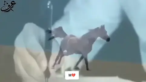 #الـــغلا والشوق يدو في وصط قلبي دوي😔