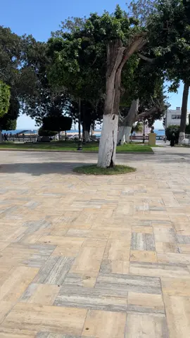 🇩🇿😍 #العاصمة #الجزائر #سياحة #tourism #جزائر_عاصمة ##algeria #algerie🇩🇿 #capitale #tiktoklongs #tiktokalgeria #videoviral #شعب_الصيني_ماله_حل😂😂 #fyyyyyyyyyyyyyyyy #explore #tiktok 