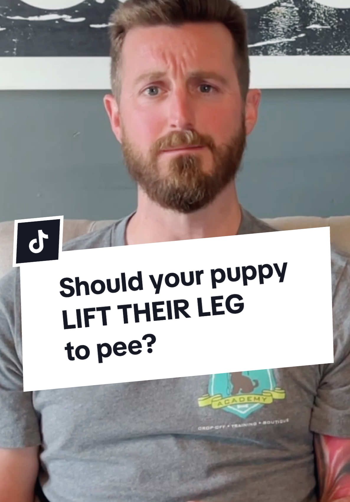 Do you have a “lifter” or a “squatter”? 🤔  #puppytraining #puppymarking #puppyhelp #pottytraining #newpuppyparents #thepuppyacademy 