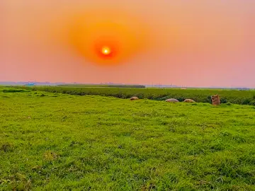 যে তোমাকে ভালোবাসে তুমি তাকেই ভালোবাসো, তাহলে তুমি রাজার হালে থাকতে পারবা 😅💔#fypシ゚viral #viralpost #foryoupage❤️😔 #fyppppppppppppppppppppppp #viralvideo 