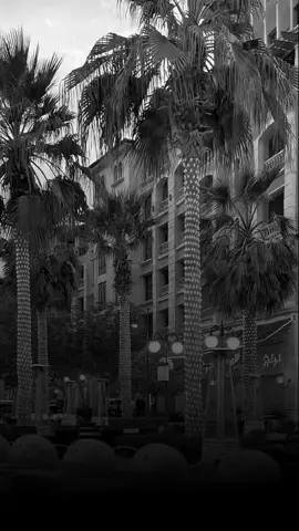 #شيلات_فخمة❤️ #لايك_متابعه_حركة_الاكسبلور❤🦋explorer #راقت_____لي_____مجرد_ذوق 