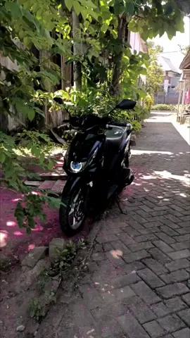 std enk std🫩 #CapCut #proper #beatkarbu #fypdong #berandatiktok #berandafyp #beat #std #fypage 