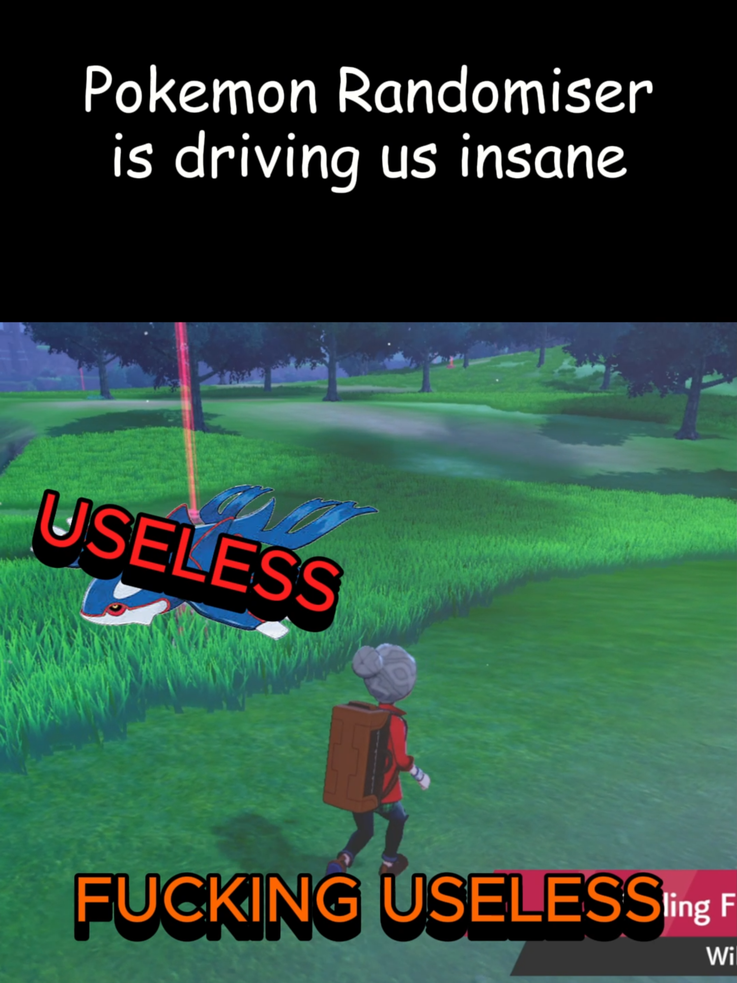 Pokemon Randomiser is Insanely hard#gaming #fyp #funnymoments #trendin #pokemon #treanding #pokemontiktok #pokemonrandomiser #pokemonnuzlocke #pokemonswordandshield