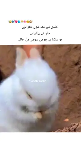 🙈😅