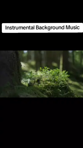 #Worship Instrumental Background Music #echord #deepworship #slowworship #worshipinstrumentals #fyp #music 