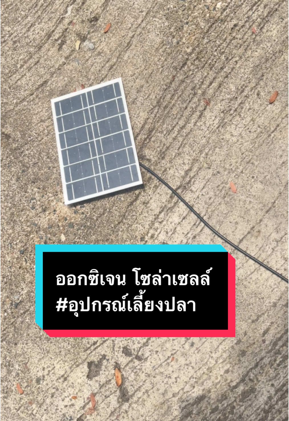 #เลี้ยงปลาแบบไม่เปลืองไฟ #ออกซิเจนโซล่าเซลล์ #ออกซินเจนไม่ใช้ไฟ #เลี้ยงปลา #ป้ายยาtiktok 