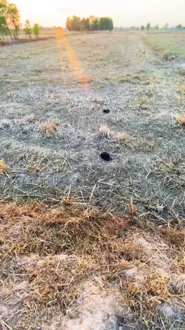 บทสิไปก็ถิ่มเฮาไว้สำหมา😞 #บ่อิน #ก้องห้วยไร่ #เธรดเพลง #วิวบ้านนอก🍃 #ท้องฟ้า #fypシ #tiktok #ฟีดดดシ #ทุ่งนา 