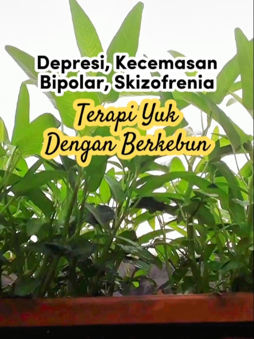 Terapi jiwa dengan berkebun, yuk cobain😉 #MentalHealth #anxiety #depresi #stres #MentalHealthAwareness #gardening #berkebun #urbangardening #fypシ 