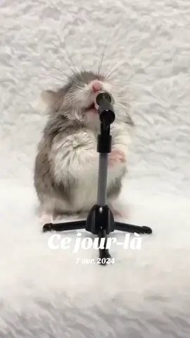 #cejour-là