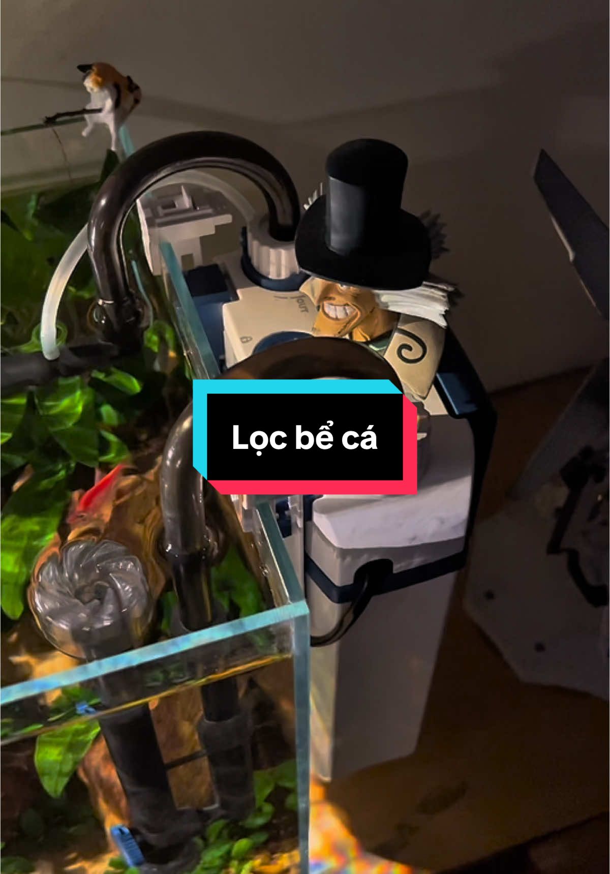 Lọc Susun tính hợp sủi oxi và hút váng cho ae đây #loctreobeca #beca #loctreoybg 