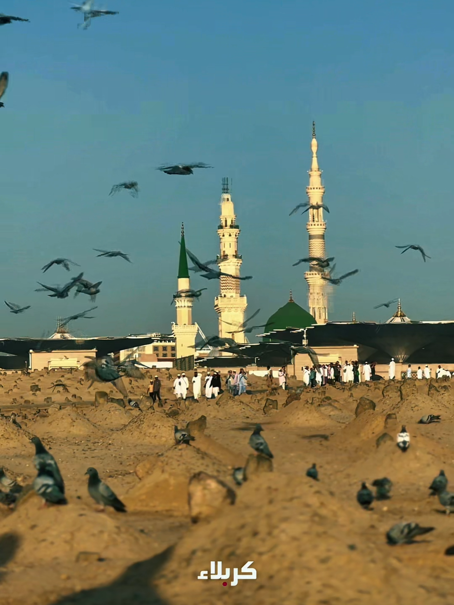 في البقيع الغرقد، أمنيةُ شائقٍ يتمنّى، وموكبُ عزاءٍ ومأتمٍ يُبنى... فمتى؟ #البقيع #أئمة_البقيع #المدينة_المنورة