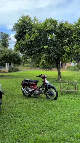 🤏 #fyp #fypage #hondasupercub #supercub125 #supercubhellboy #c800supercup #herexlampung 