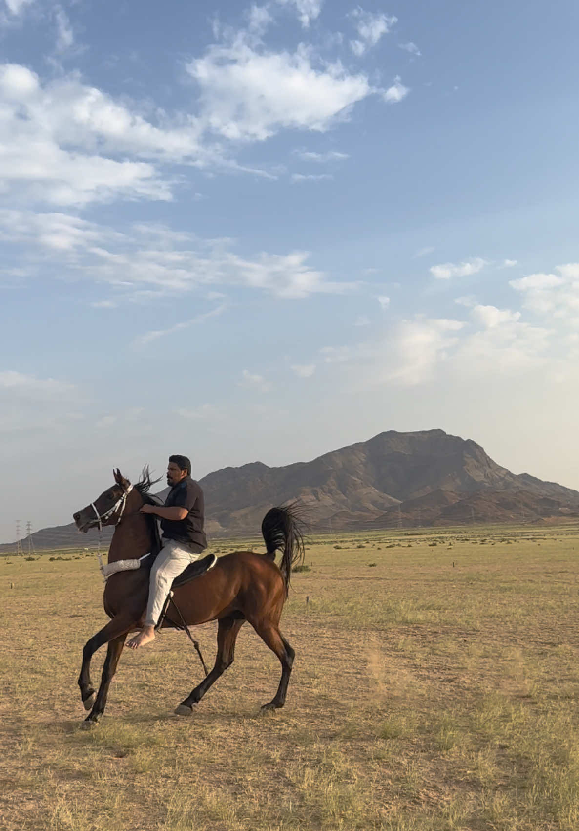 #شواش #مربط_بورلاند #مكة_الجموم_الغزيات_هدى_الشام #حصان_عربي_أصيل #اكسبلورexplore #خيل_وخياله🐎 #horse #الشعب_الصيني_ماله_حل😂😂 #السعودية #شعر #حب #مروان_الشقب #عطايا_الله #