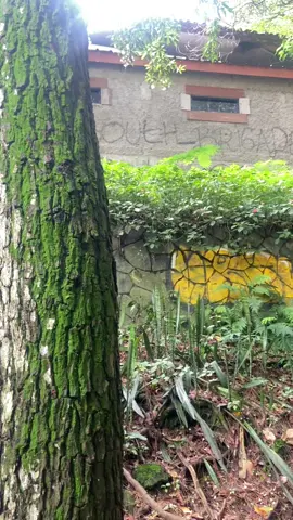 nayla😭                                                    *GGS episode1