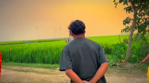 শেষ বিকেলের সুন্দর মুহূর্ত #foryou #foryoupage 