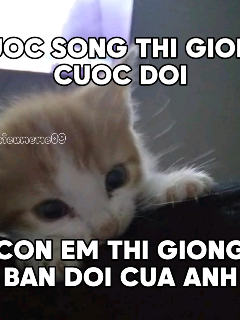 CUOC SONG THI GIONG CUOC DOI👽 #viral #lyrics #xuhuong #xhtiktok #xh #hieumeme09 #fyp #thathinh  #nhachaymoingay #thichemhoinhieu 