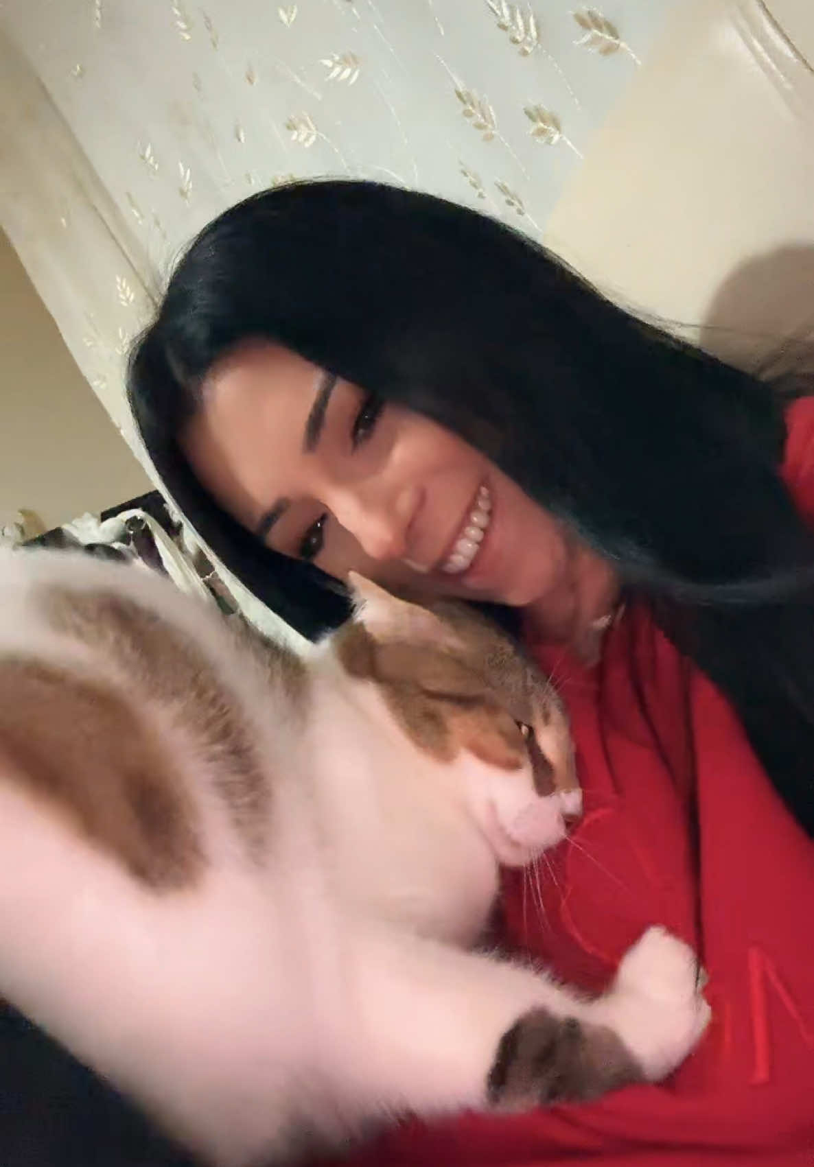 Benim antidepresan 🤍 #tiktok #tiktokvirall #keşfet #keşfetbeniöneçıkar #fyp #keşfetteyizzz #fyppppppppppppppppppppppp #cat 