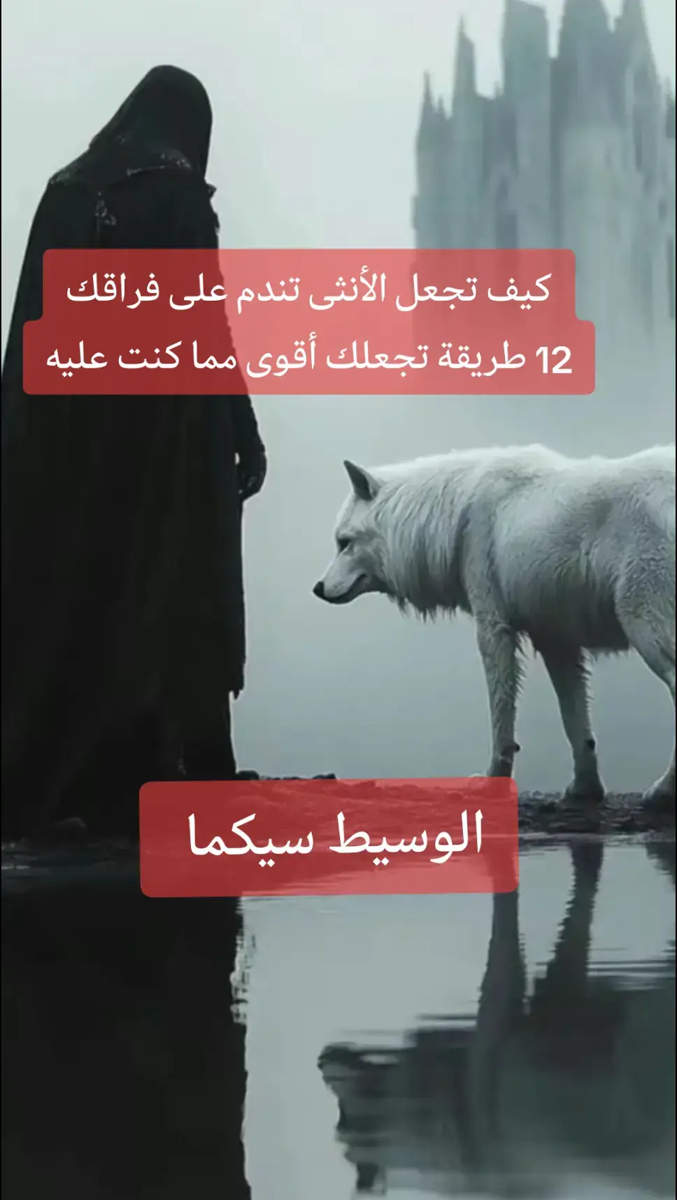 #الوسيط_سيكما #lemediateur_sigma 