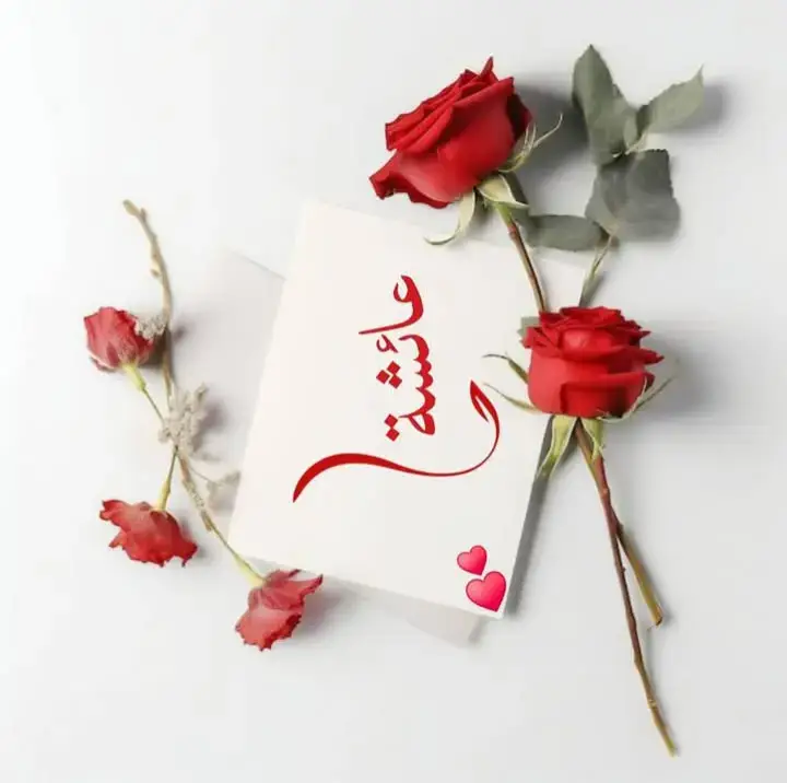 اللهم امين يااارب العالمين 🤲🤲♥️ اجمعين ان شاء الله يااارب 🤲🤲♥️🤲♥️🤲🤲♥️🤲