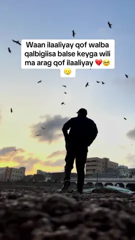 🥹💔😭🥲#coldoon85 #somalitiktok12 #somali #somali #somalisong 