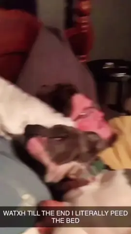 Dog sneezing#dog#funny#funnyanimals#funnypets#animals #dogsofttiktok #pet #foryou #longervideos