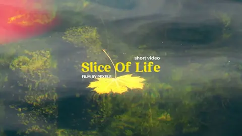 #CapCut  Slice Of Life - |video from pexels . #sliceoflife #callofsilence #aestetic #shortvideo #fyp #beautifulplace 