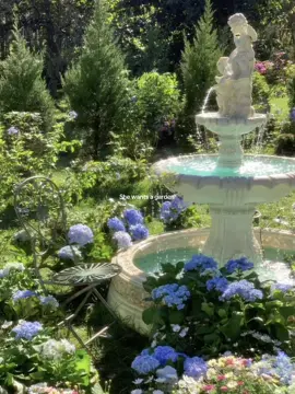 Garden #garden #backyard #cottagecore #nature #flowers #garden #plants #desire #fantasy #pond #dreamy #fyp #parati#aesthetic #pinterest #manifesting #viral #lilliesareblooming 