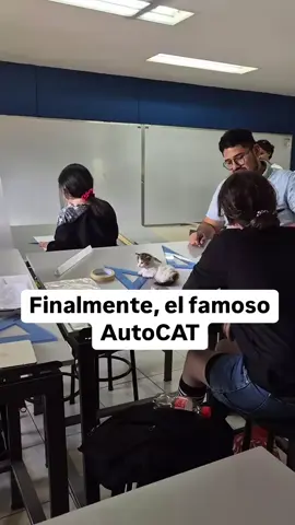 #autocad #arquitectura #humor #meme #viral 